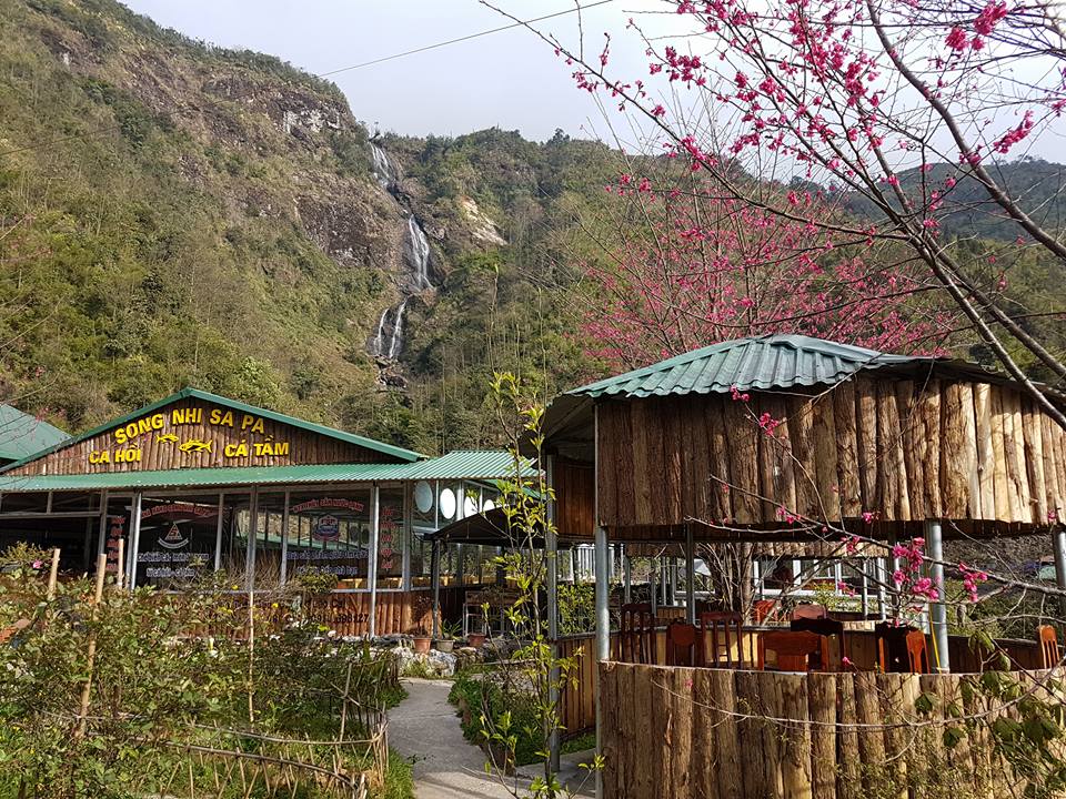 Nhà hàng cá hồi Song Nhi