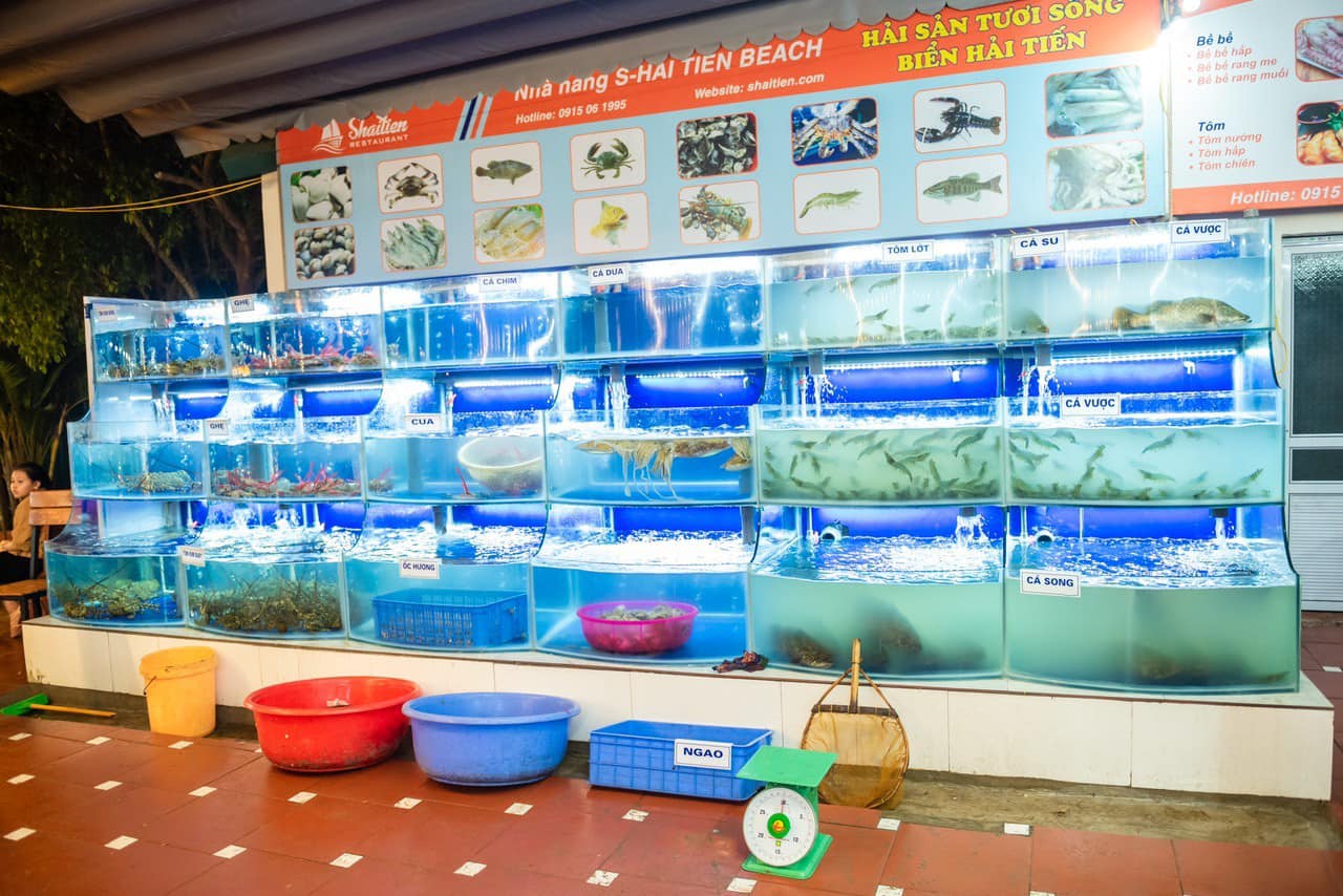 Nhà hàng S-Hải Tiến Beach Thanh Hóa