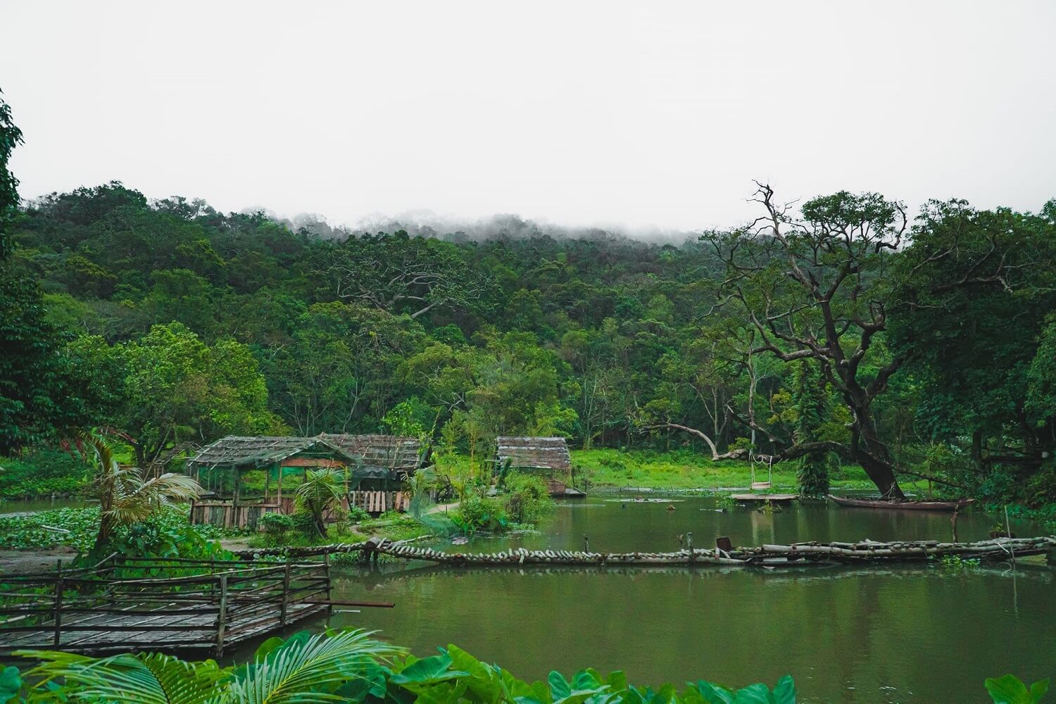 Nhất Lâm Thủy Trang Trà