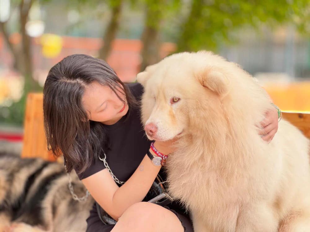 Đường di chuyển đến Puppy Farm khá dễ dàng