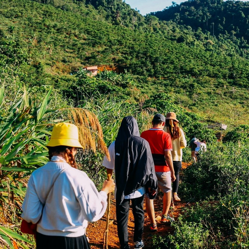 Hầu hết các tuyến dẫn lên núi đều do hội trekking tự mở