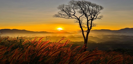 [MỚI NHẤT] Kinh nghiệm trekking, tham quan núi Đại Bình chi tiết