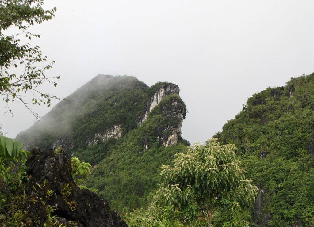 Núi Hàm Rồng Sa Pa