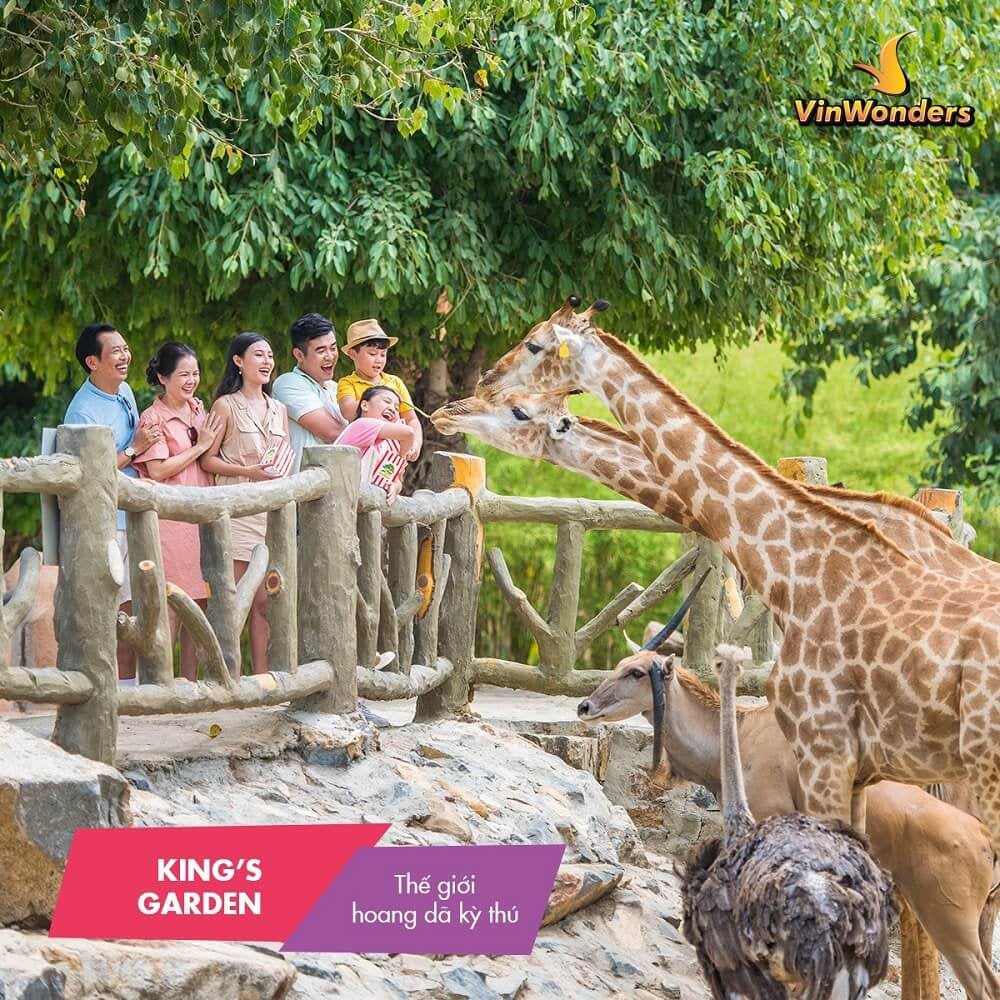 Gặp gỡ thế giới động vật đa dạng và đáng yêu tại King’s Garden