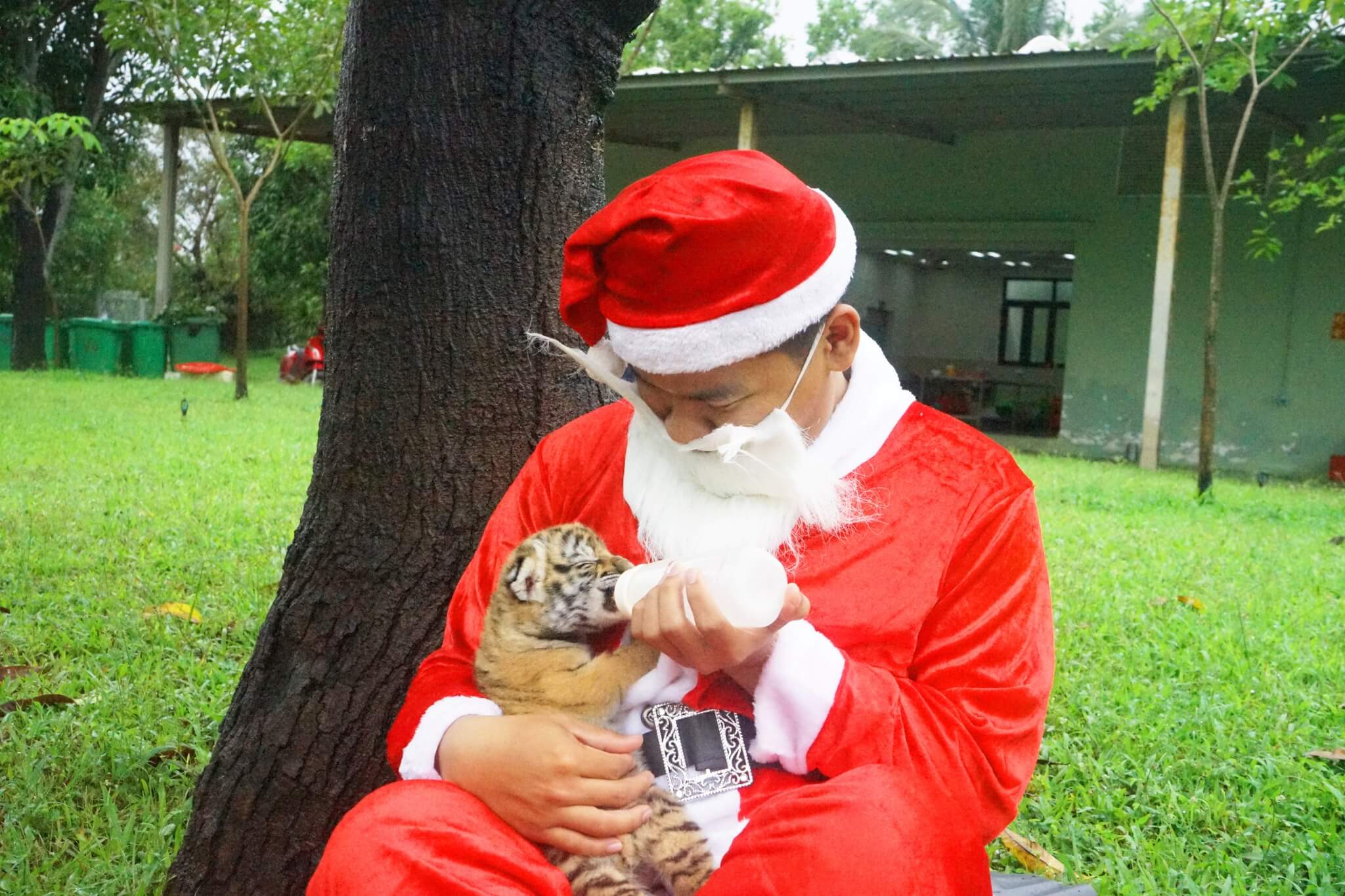 Ông già Noel có thật không Ông già Noel có thật hay không? Nguồn gốc thú vị của ông già Noel và tầm ảnh hưởng trong văn hóa Giáng sinh