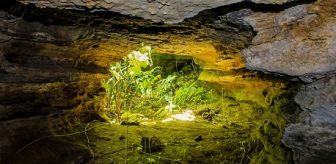 Hang Dơi Tiên An Quảng Nam – Vẻ đẹp bị thời gian lãng quên đầy hoang sơ, huyền bí