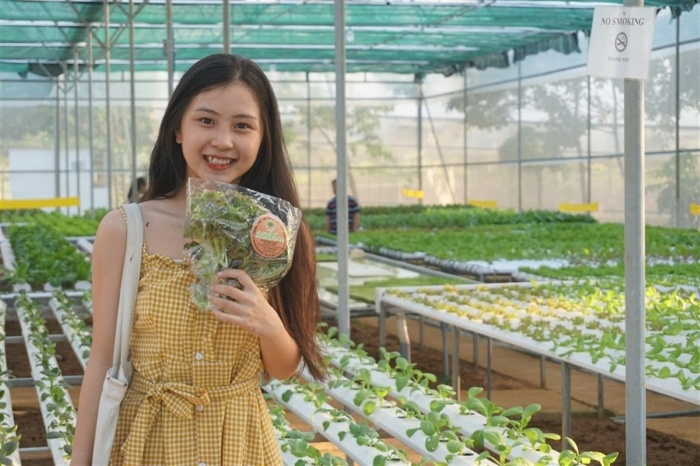 Ghé thăm BB Farm - trang trại thủy canh rau và dâu tây