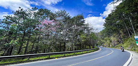 Đèo Prenn – Cập nhật MỚI NHẤT về cung đường siêu HOT ở Đà Lạt