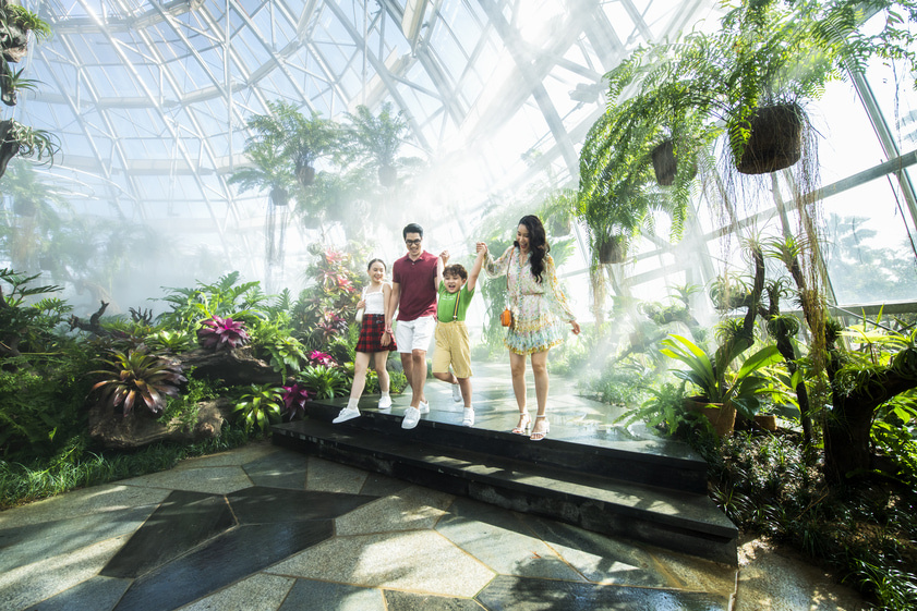 Sky Garden tái hiện một cách sinh động khu rừng nhiệt đới Nam Mỹ ẩm ướt - nơi sở hữu bộ sưu tập kỳ hoa dị thảo độc đáo 