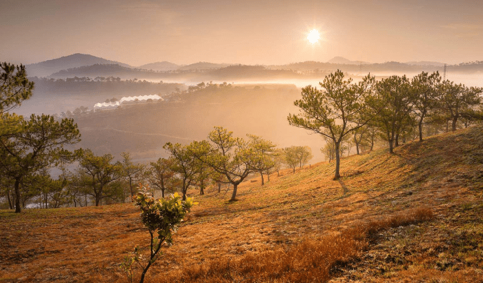 Đồi Thiên Phúc Đức săn mây