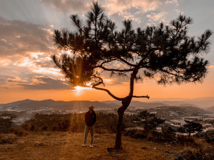 Đồi trọc Thiên Phúc Đức Đà Lạt