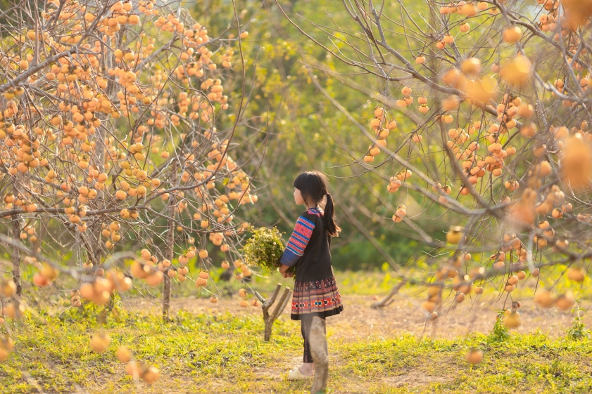 Du lịch mùa thu Du lịch mùa thu nên đi đâu để có những trải nghiệm thú vị?