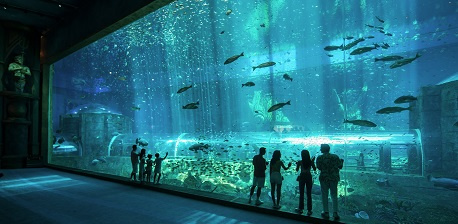 Giá vé thủy cung Vinpearl Phú Quốc mới nhất & tips đặt vé hời