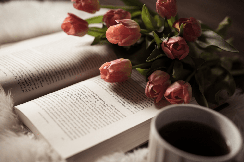 Lời chúc 20/10 cho bạn nữ Lời chúc 20 10 cho bạn nữ hài hước chắc chắn sẽ khiến chị em bất ngờ