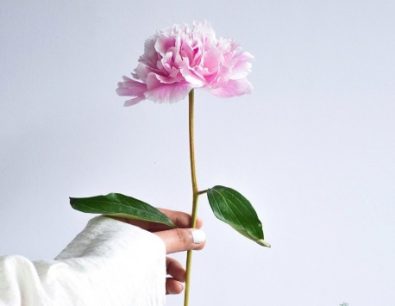 Mách bạn 100+ lời chúc bình an may mắn hay nhất cho người thân, bạn bè