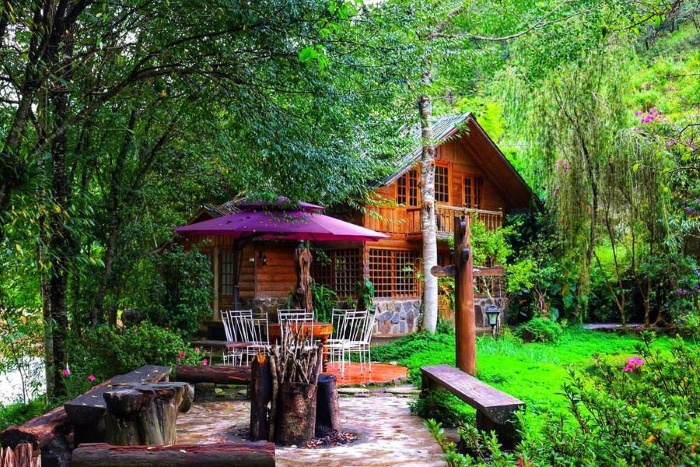 Ma Rừng Lữ Quán Nguồn gốc thú vị của tên gọi “Ma Rừng Lữ Quán”