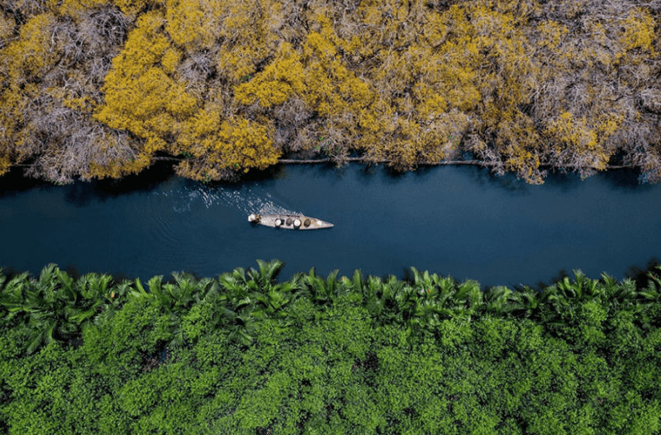Rừng Rú Chá Huế Vẻ đẹp độc đáo đầy chất riêng của Rú Chá khiến du khách không thể nào quên