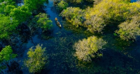 Khám phá rừng Rú Chá Huế – Tọa độ du lịch sinh thái níu chân du khách