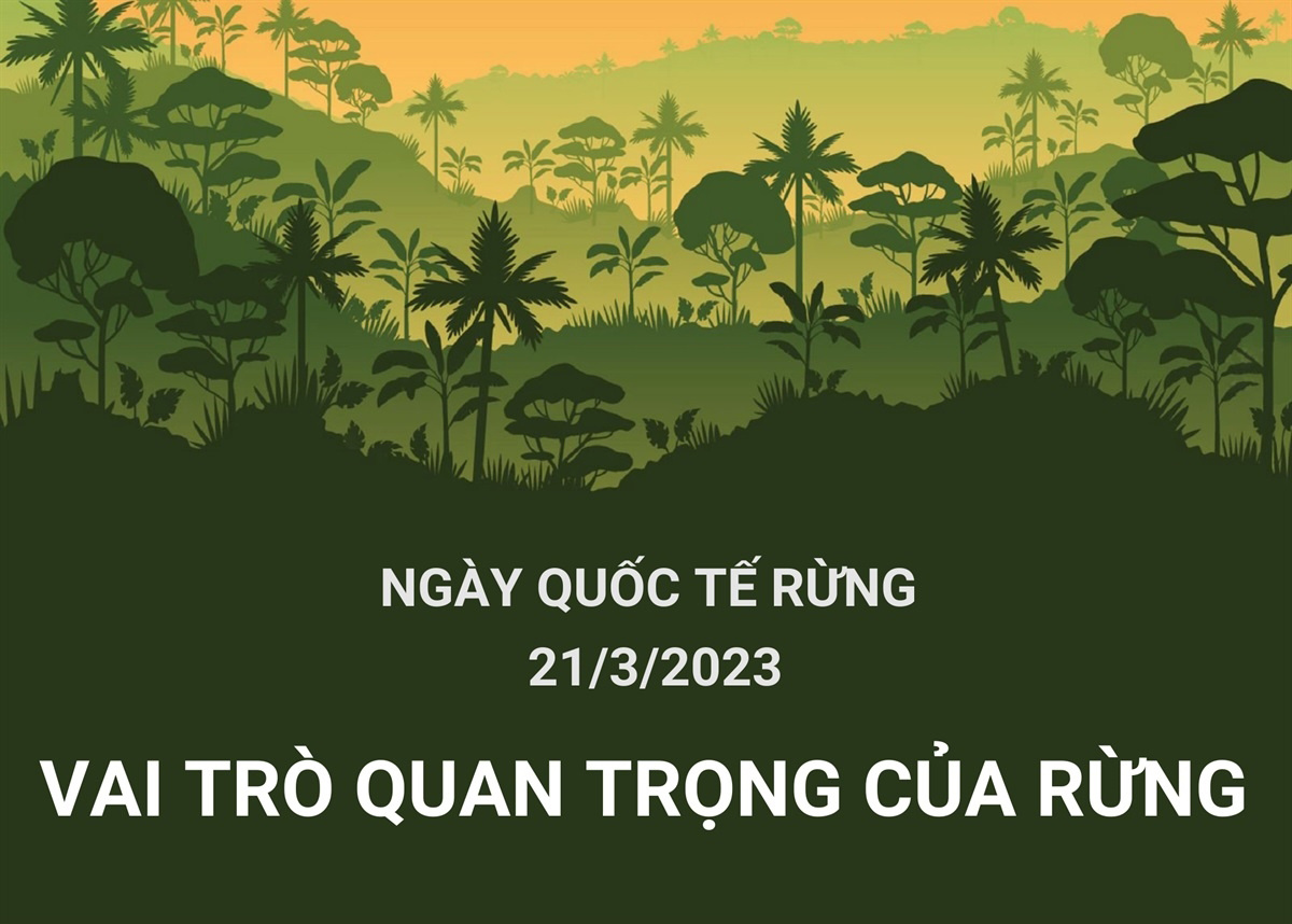 tháng 3 có ngày lễ gì Ngày Quốc tế về Rừng 21/3