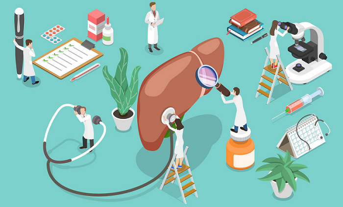 Tháng 7 có ngày lễ gì Tháng 7 có ngày lễ gì? - Hưởng ứng ngày Viêm gan Thế giới