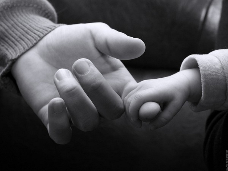 Bày tỏ tình cảm với cha mẹ qua những giai điệu đầy cảm xúc 