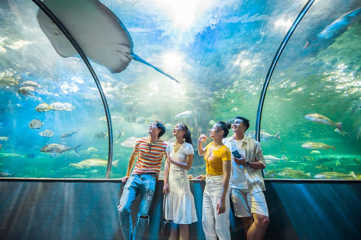 Bước chân vào thế giới dưới đáy biển kỳ diệu đầu sắc màu tại Vinpearl Aquarium