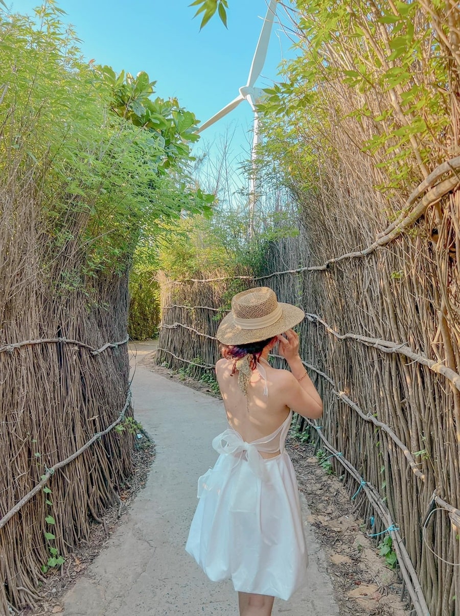 Con đường dẫn xuống làng chài Phú Long