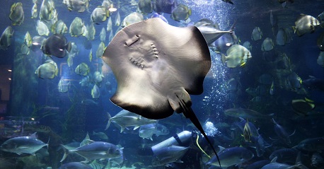 “Đưa nhau đi trốn” với 26 địa điểm phượt Hà Nội chất nhất theo mùa