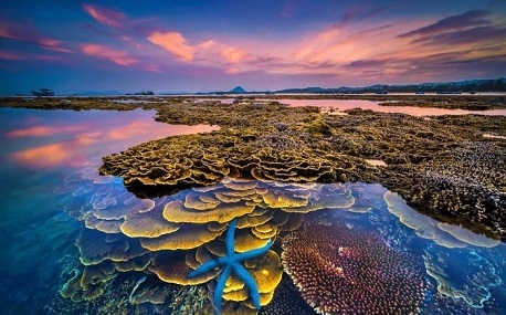 Phượt Phú Yên: Trọn bộ hành trình vi vu xứ Nẫu hiền hoà, nên thơ