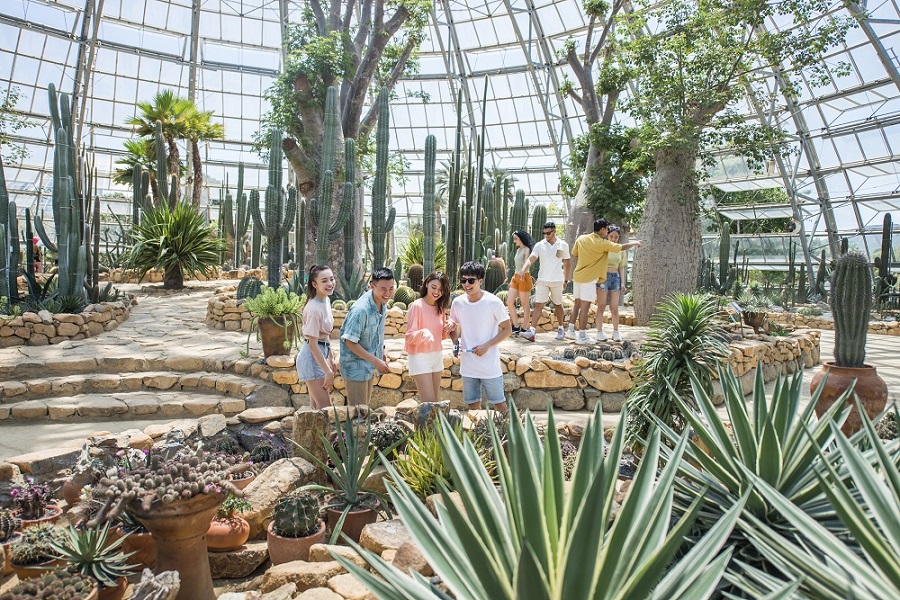 Pizza Quy Nhơn VinWonders Nha Trang là tọa độ mang đến những trải nghiệm giải trí đa dạng và độc đáo cho du khách