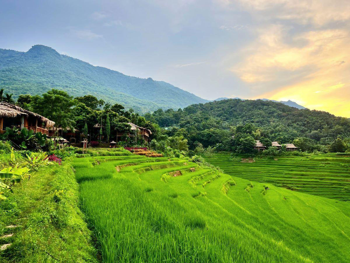 Pù Luông mùa lúa mới