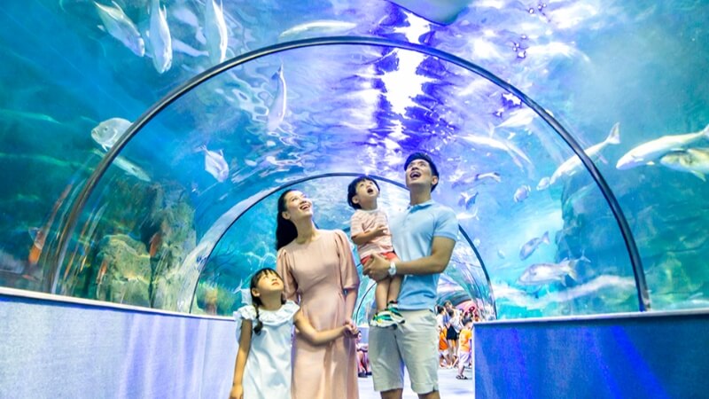 Cả nhà cùng vui chơi ở Thủy Cung Vinpearl Aquarium