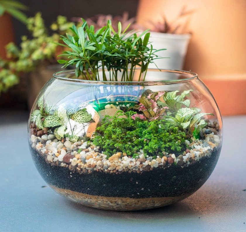 Quà 20/11 tặng cô giáo Tặng một chậu cây cảnh mini trong dịp 20/11 là một cách tuyệt vời để thể hiện sự tri ân, lòng biết ơn đối với cô giáo