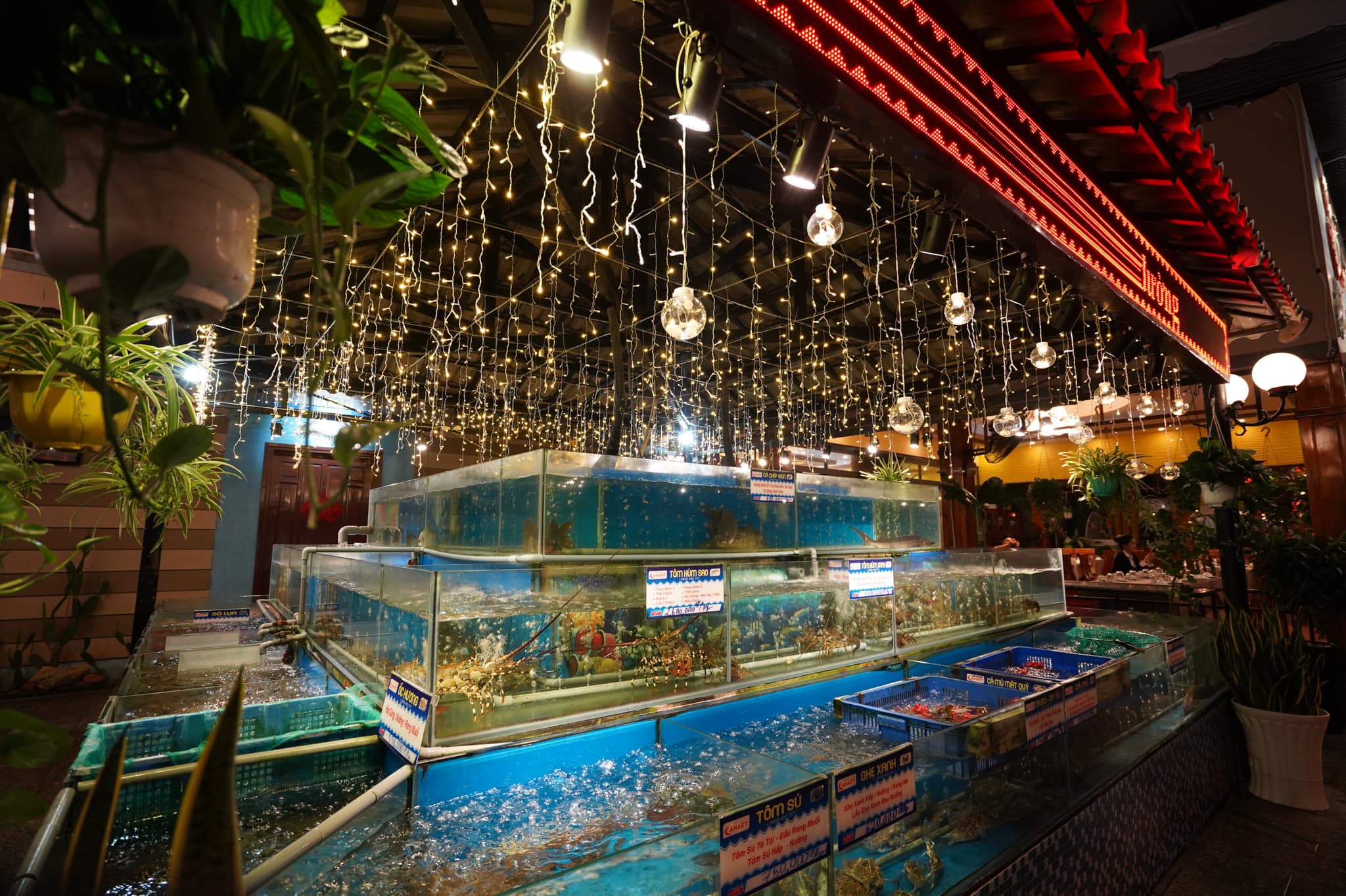 Đa dạng loại hải sản tại nhà hàng