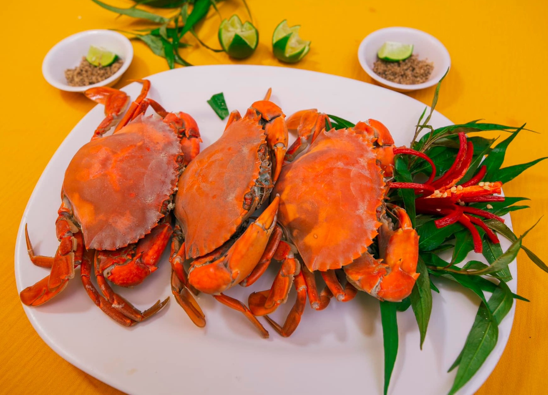 quán ăn ngon Rạch Giá Món cua hấp ngon tại nhà hàng Gió Biển