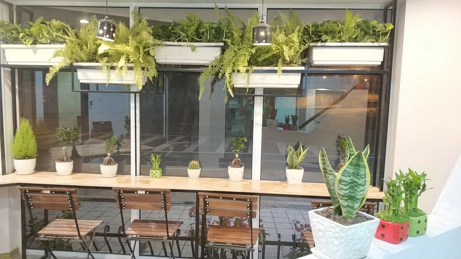 Le Ciel Café - quán cafe Long Biên quen thuộc của dân địa phương