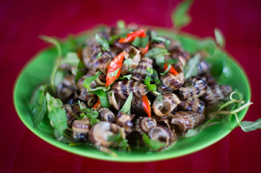 Các món ốc dân dã, chế biến đơn giản nhưng ai cũng phải siêu lòng 