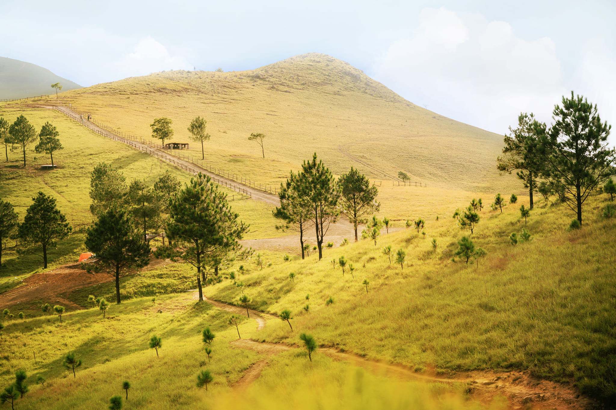 Cắm trại núi Phượng Hoàng mùa cỏ cháy tuyệt đẹp