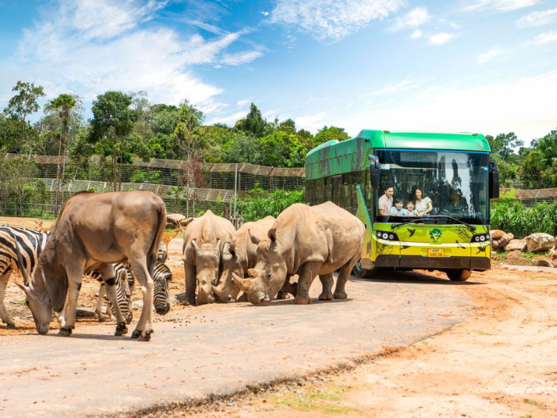 Công viên chăm sóc và bảo tồn động vật bán hoang dã lớn nhất Việt Nam - Vinpearl Safari Phú Quốc