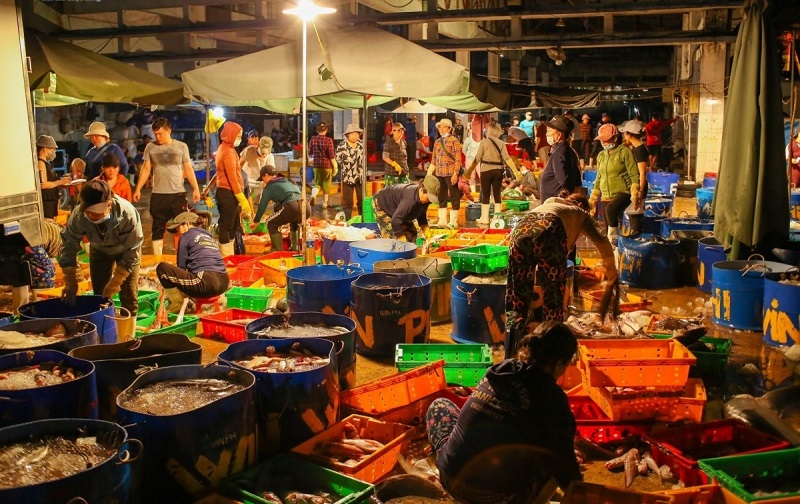 Không khí nhộn nhịp tại Cảng cá Hàm tử 