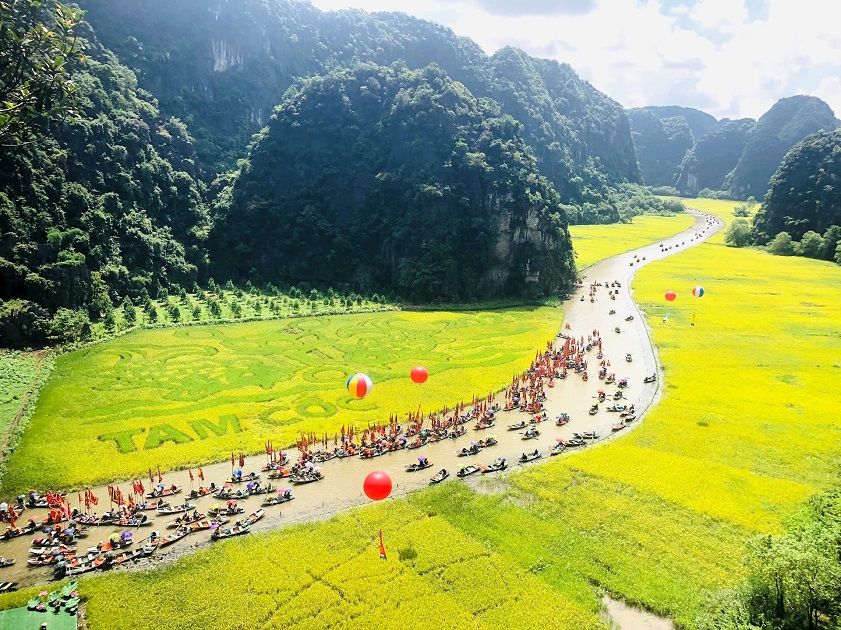 rice fields in Tam Coc