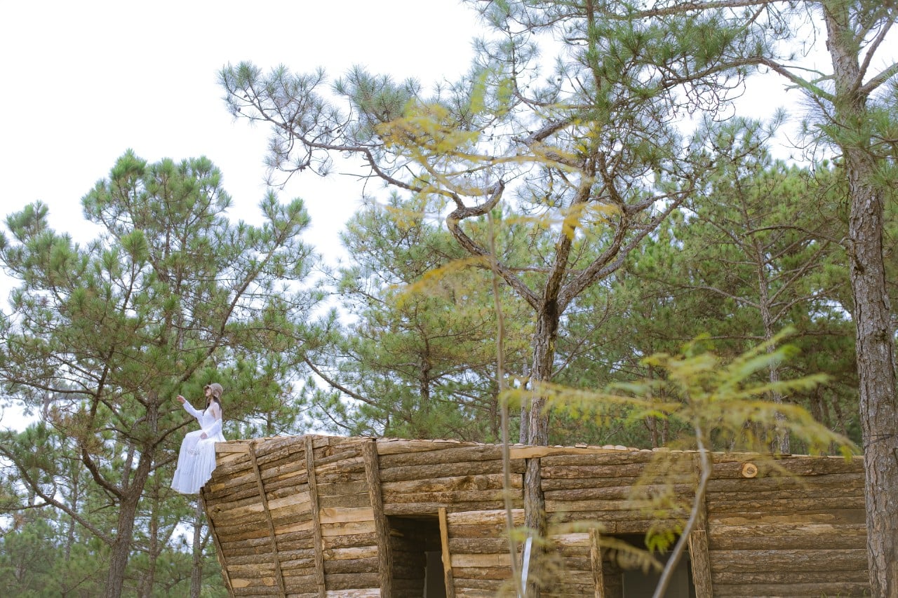 Công viên Rừng hoa Đà Lạt có nhiều góc check in cực “thơ”