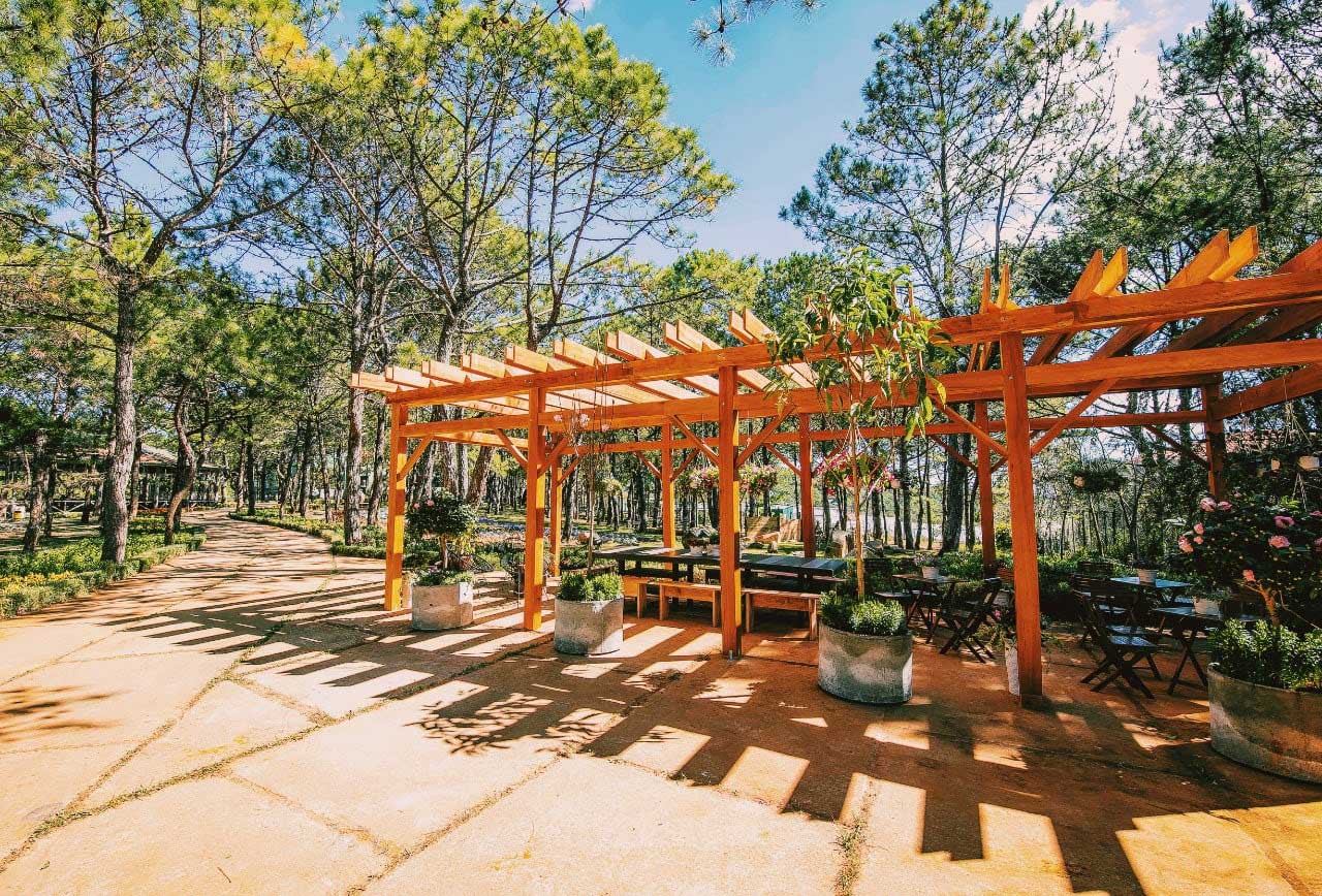 Không gian quán cafe cực “chill”