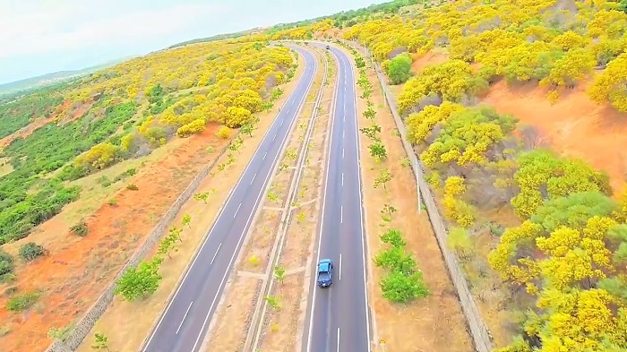 Rừng keo lá tràm Đường đi rừng hoa keo lá tràm Mũi Né cũng rất thuận tiện và dễ dàng