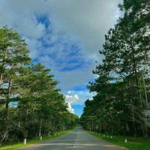 Rừng thông Măng Đen – điểm check in nổi tiếng hút du khách