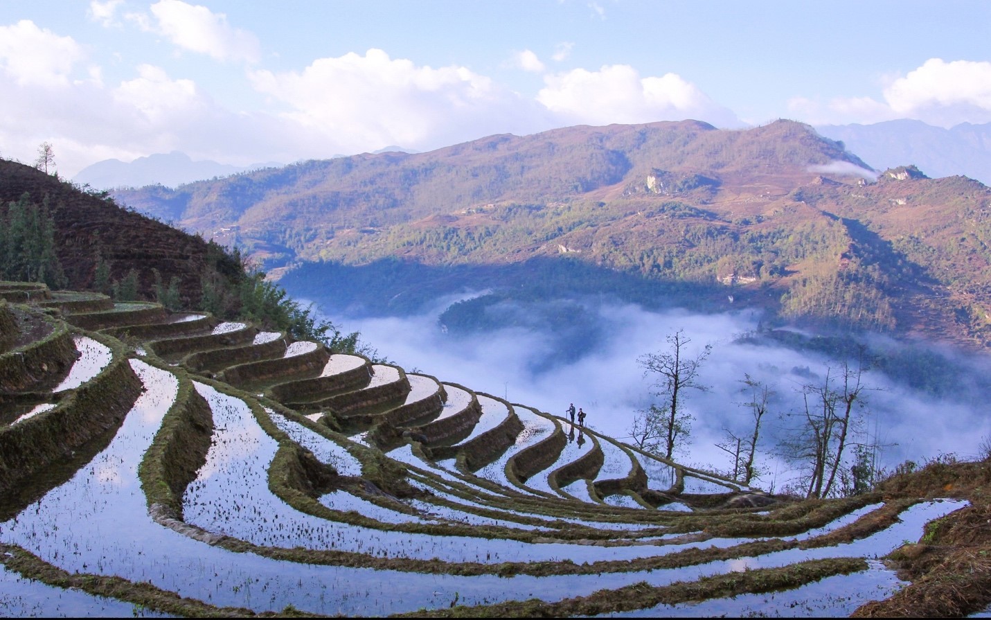 Thung lũng Mường Hoa Ruộng bậc thang mùa nước đổ