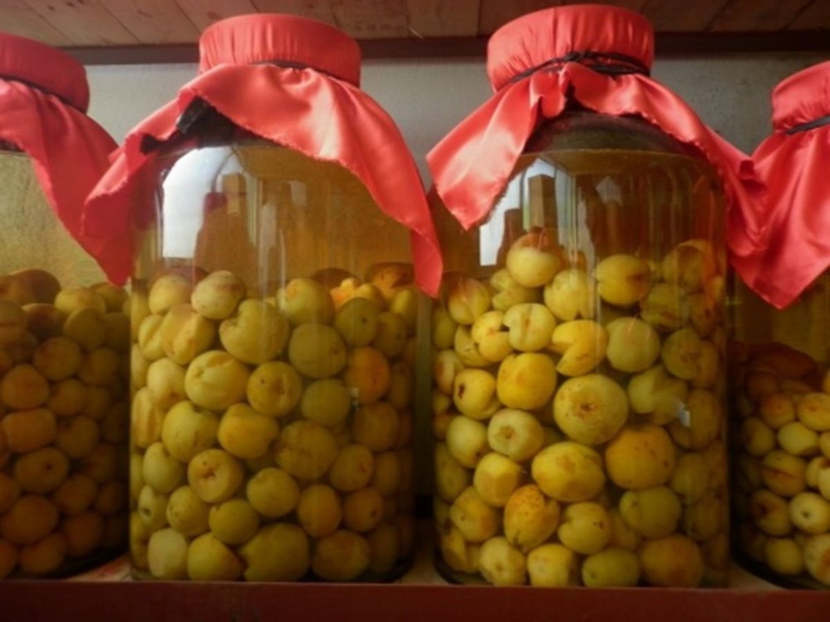 Rượu táo mèo Sa Pa