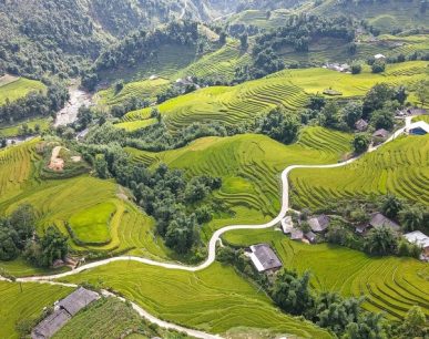 Sa Pa mùa lúa chín vào tháng mấy? 10+ địa điểm đẹp như tranh