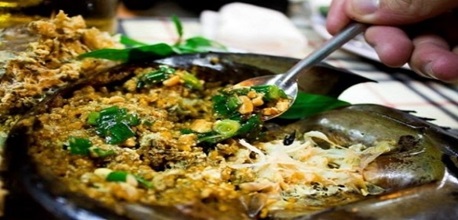 Sam biển Quảng Ninh – Loại hải sản quý hiếm với nhiều món ngon bổ dưỡng