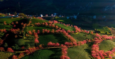 Sapa weather in December: Facts & travel tips for a perfect winter trip